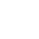 Logo store in the header